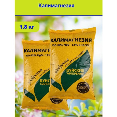 ������ ������ ��������� 