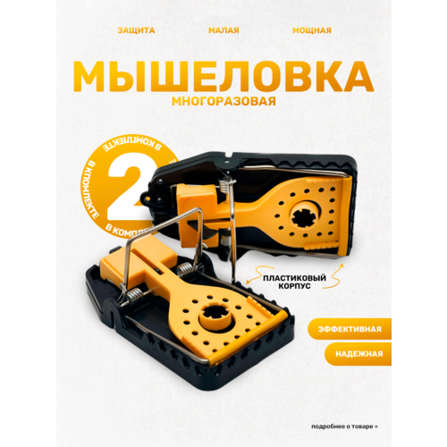 ������ ������ ��������� ��� ����� �����������, ������� ��� ����, �����, ��������, ������/������, 2 �� ����