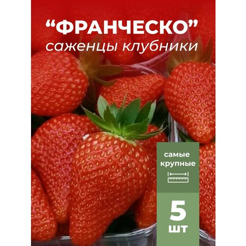 ������ ������ �������� ����� ������������� ���������, �������/��������� �������� 5 �� ����