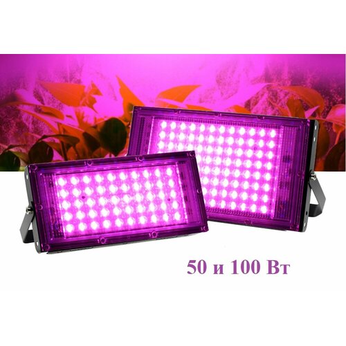 ������ ������ ���������� ��� �������� 50�� ��������� ����