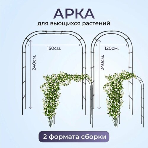 ������ ������ ���� ��� ������ �������, ����� ��� ������, ���� ��� �������� (����� - 195�230�38) - (����� - 240�140�38) ����