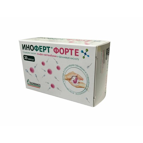 ������ ������ ������� ����� N20 ���� ������ 1650�� ����