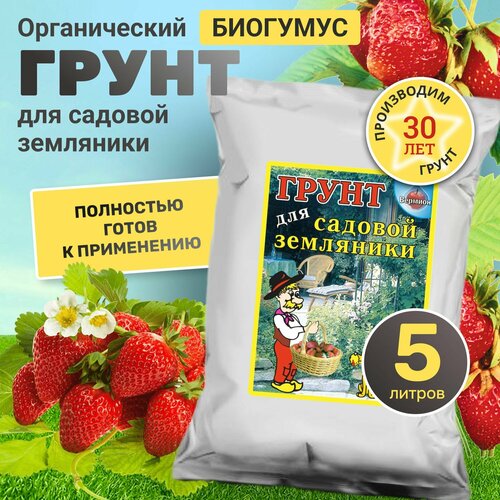 ������ ������ ����� ��� ������� �������� � ��������� ������� � �������� � ���������� 