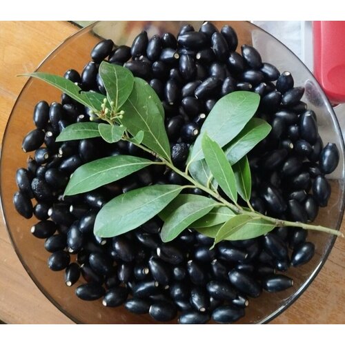 ������ ������ ������ ����� ���������� 5�� ����