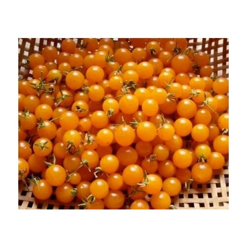 ������ ������ ����� ������� �������� ���� ��� - ������ ������ ������� ����