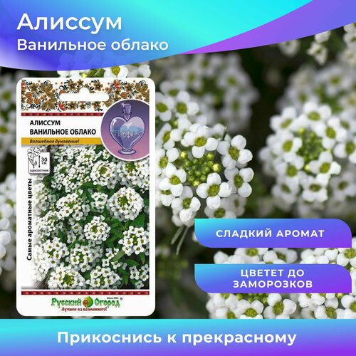 ������ ������ ������ 