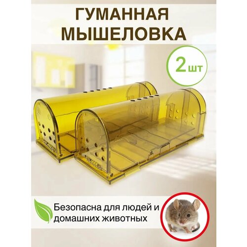 ������ ������ ��������� ��� ����� ��������, 2 �� ������� ����