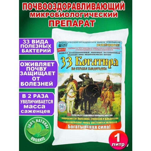 ������ ������ 33 �������� �������������������� ������������������ ��������, 1� ����