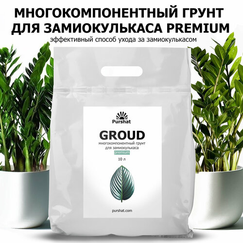 ������ ������ ����������������� ����� Premium ������ 10 � � ������� ������� ��� ������������� � ��������� ����