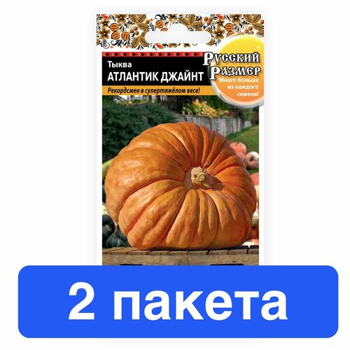 ������ ������ ������ ������ ������� ������ 