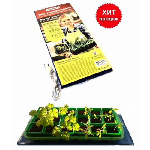 ������ ������ ������ � ���������� 