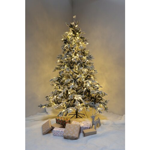 ������ ������ ���� ������������� �� ������ � ��������� ����