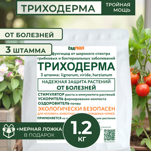 ������ ������ ���������� 3 ������ , 1200� ����