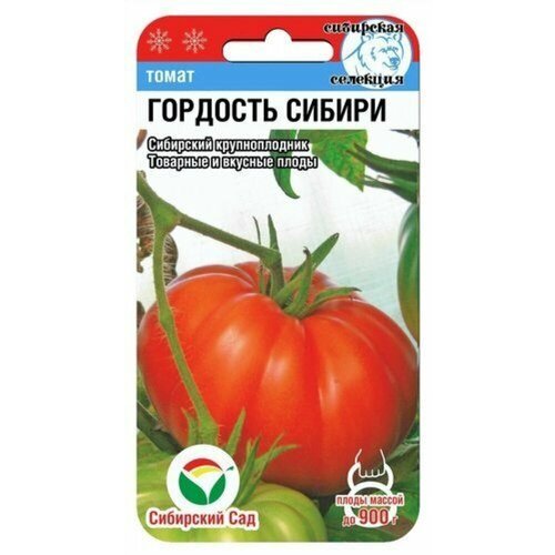 ������ ������ ������ ����� �������� ������ 20�� ��� ������ (��������� ���) ����