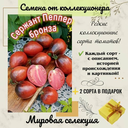 ������ ������ ����� 