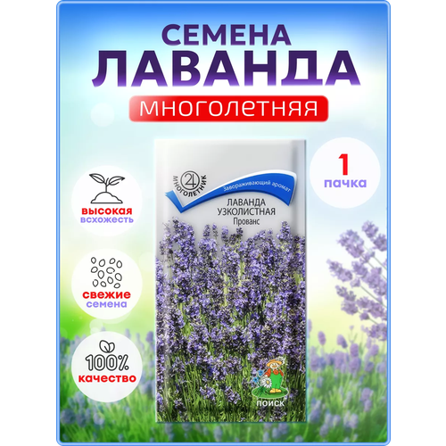 ������ ������ ����� / ������ ������� ����������� �������, ����� ����� �������, ������ �����, ������������ ����