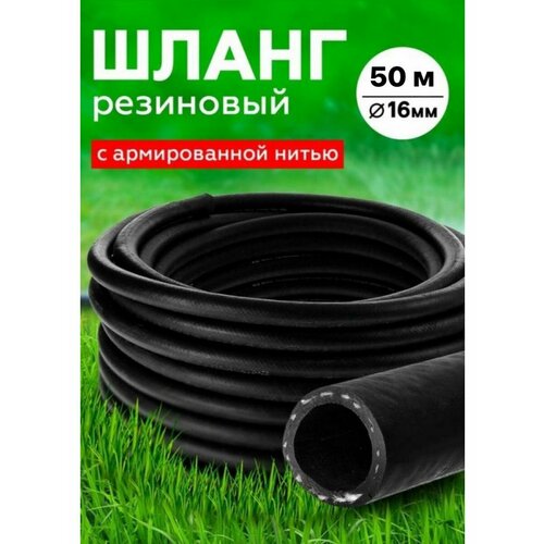 ������ ������ ����� ��������� ������������ 16�� 10 � ����