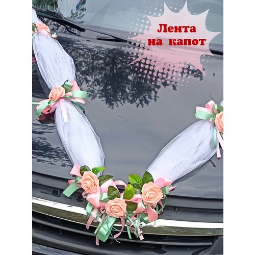 ������ ������ ��������� ����� �� ������ � ������� � �������. ��������� �� ��������� ����������. ����