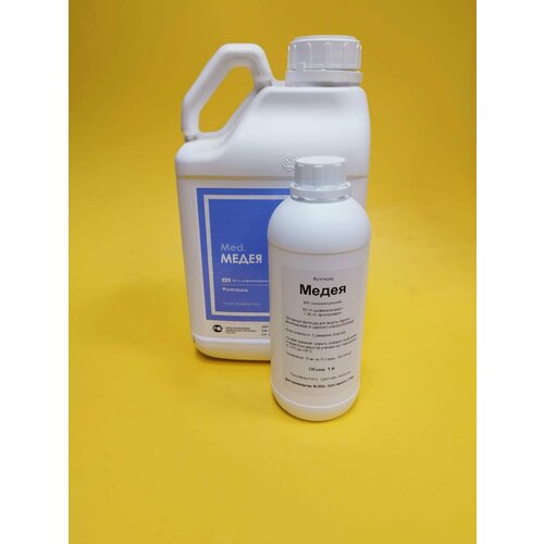 ������ ������ �������� ����� �� ����� �� ������ � ��������� 1� ����