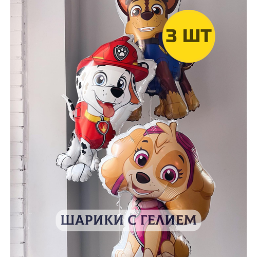 ������ ������ ��������� ���� 