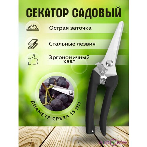 ������ ������ W-GROW ������� ������� ��� ����, ������ � ��������� �������� ����