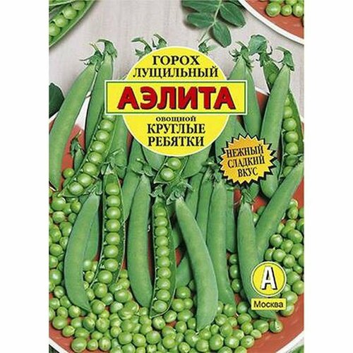 ������ ������ ������ ����� ������� ������� ���������, �����������, (������) �/� 25� ����