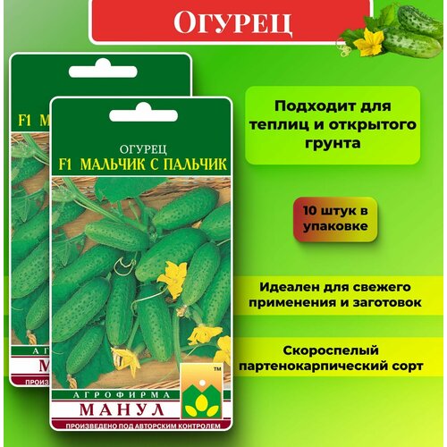 ������ ������ ������ 