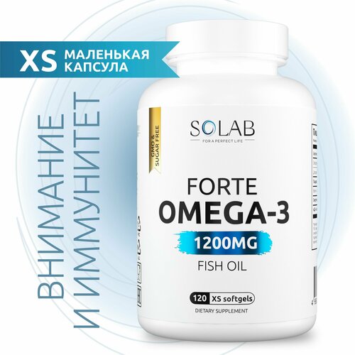 ������ ������ �����-3 � ���� �������� 60%, XS 1200 ��, ��� ������, ����� � ����������, 120 �� ����