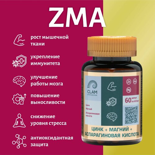    ZMA   ,  +  +  ,  , 60    -     , -,   