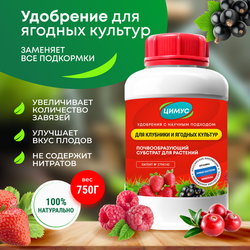 ������ ������ ����� - ������� ��������� ��������� ��� �������� � ������� ������� ����