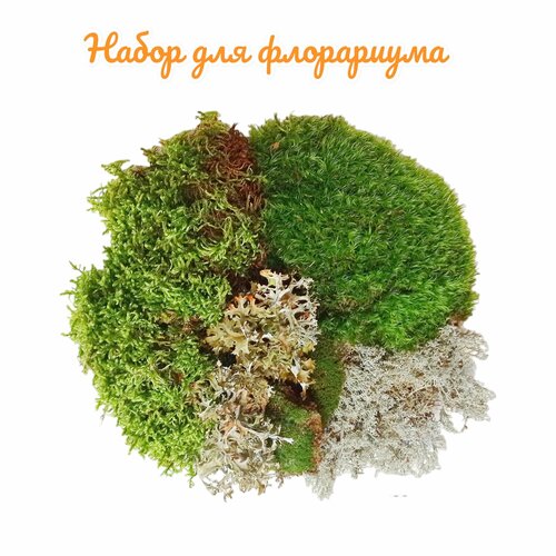 ������ ������ ����� ��� ����������. 4 ���� ���. ��� ��������, ��������, ��������, �������. ����������� �����. ����