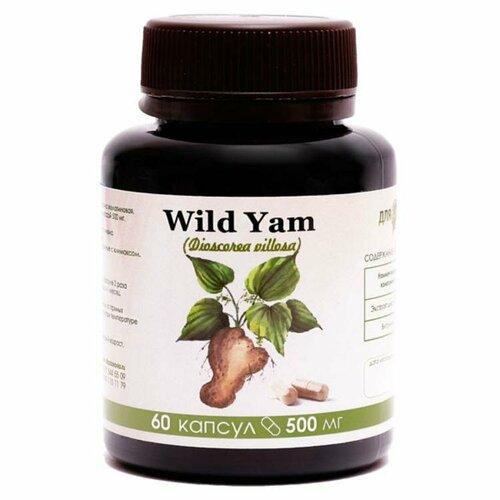    Wild Yam 60    -     , -,   