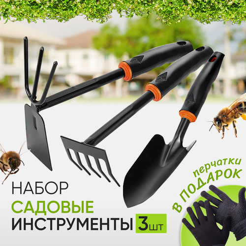 ������ ������ ����� ������� ������������ 3 �������� ������� ���������, �������� ����