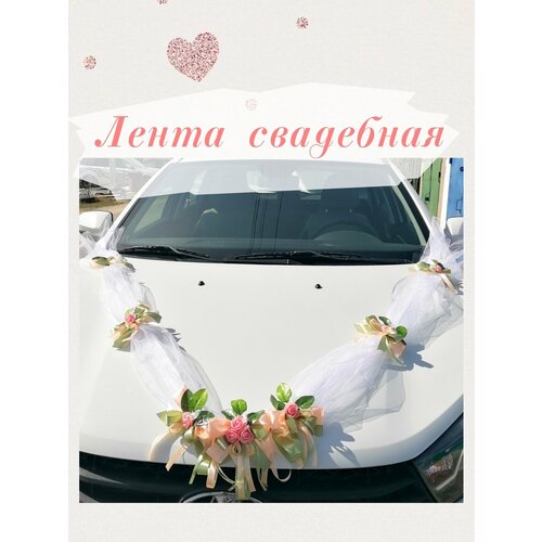 ������ ������ ��������� ����� �� �����. ��������� �� ��������� ����������. ����