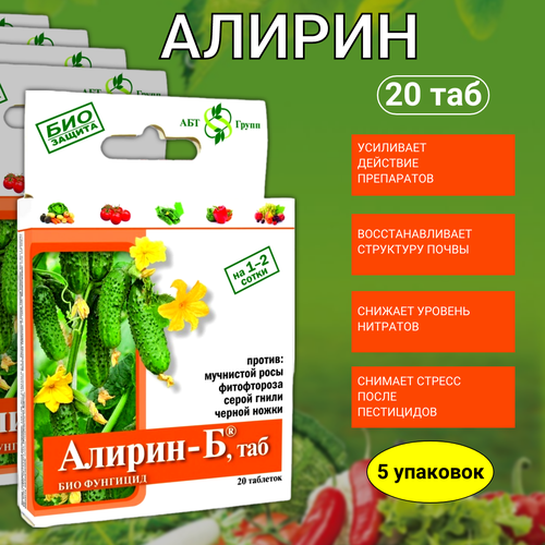 ������ ������ ����������������� �������� ������ � �������� �� ������ ������ ����� ��������� ���� ����������� 20 �������� 5 �� ����