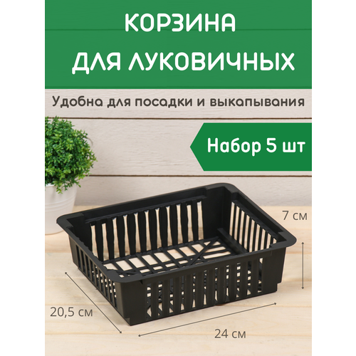 ������ ������ ������� ��� ���������� ������������� ����� 5 �� ����