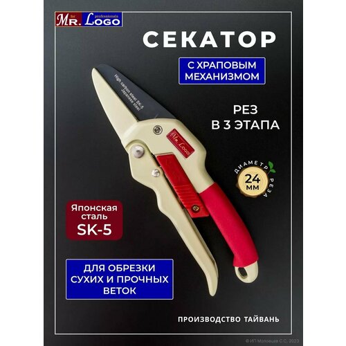 ������ ������ ������� ������� � �������� ���������� ����