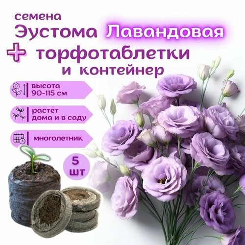 ������ ������ ������ ������� ������������ ��������� (����������) �����������, ��������� ��������� + �������� �������� Jiffy � �������, 5�� ����