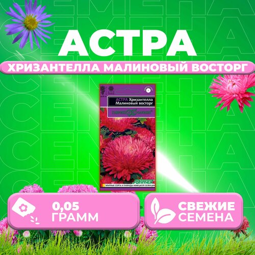 ������ ������ ����� ����������� ��������� �������, 0,05�, ������, Satimex (1 ��) ����