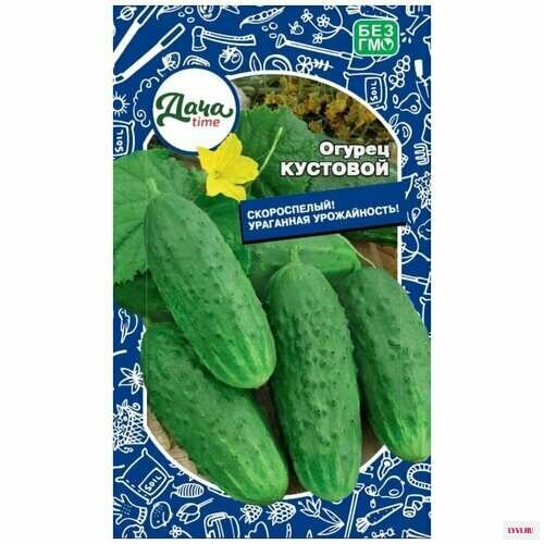 ������ ������ ������ ������ �������� 12�� �� ������ (����time) ����