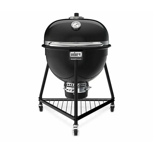 ������ ������ �������� ������-����� Weber Summit Kamado E6, 61 �� ����