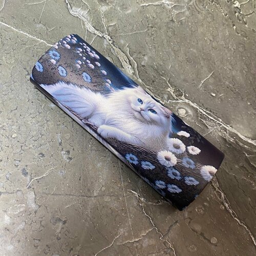 ������ ������ ������ ��� ����� 