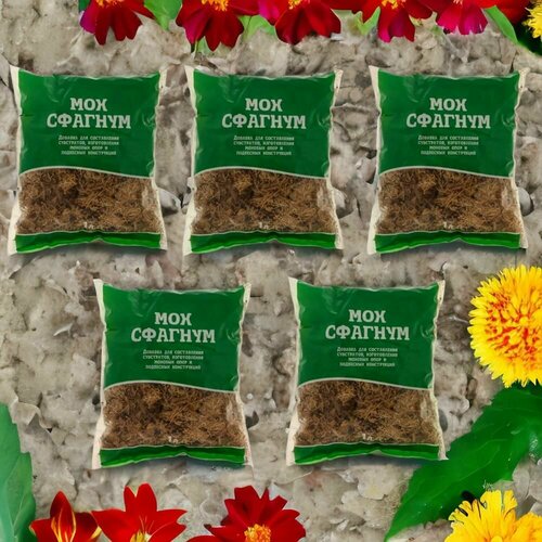 ������ ������ ��� ������� 1� / 5�� ��� ��������. ������������� ����