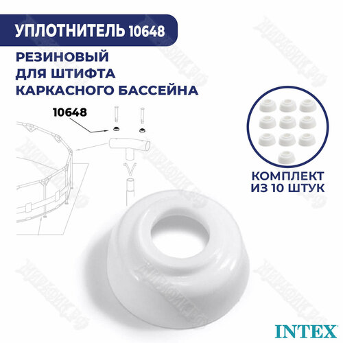     Intex 10648 (- 10 )   -     , -,   