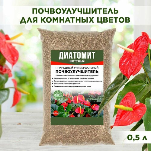 ������ ������ �������� ������� ��������������� ��������� ��������� ��� ������ 0,5� ����