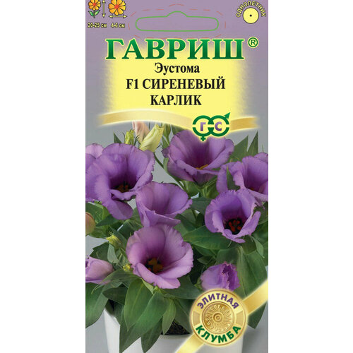 ������ ������ ������ ������� ��������� ������ F1, 4��, ������, ������� ������, 5 ��������� ����