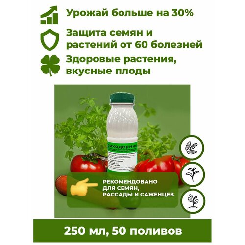 ������ ������ ���������� ���������� - ����������� ������ 250�� ����������� ��������� ��� �������� ������ ����. ����� �������� �� ����� 60 ��������, �������� ����������� �� 30%. ����