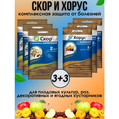 ������ ������ ����� ������� ��� ������ �������� ����� � ���� 6 �� ����