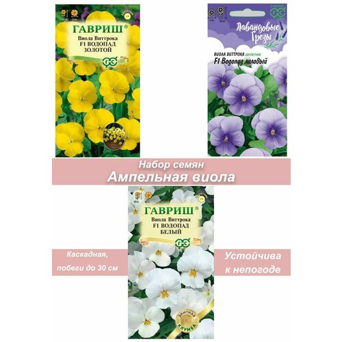 ������ ������ ������ ��������� ����� ����