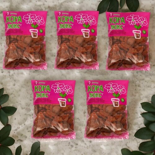 ������ ������ ���� ��������� ����� ���� 2� ����